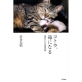 コトラ、母になる 津軽のネコの四季物語