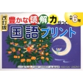 豊かな読解力がつく国語プリント 小学6年 改訂版