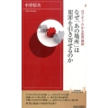 なぜ「あの場所」は犯罪を引き寄せるのか 見てすぐわかる犯罪地図 青春新書INTELLIGENCE 457