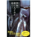 ドキュメント深海の超巨大イカを追え! 光文社新書 650