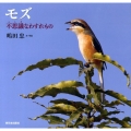 モズ 不思議なわすれもの 日本の野鳥