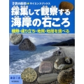 採集して観察する海岸の石ころ 種類・成り立ち・地質・地層を調べる 子供の科学・サイエンスブックス