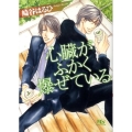 心臓がふかく爆ぜている 幻冬舎ルチル文庫 さ 2-24