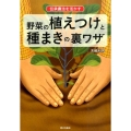 伝承農法を活かす野菜の植えつけと種まきの裏ワザ