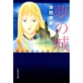 夢の城 津田雅美作品集2 白泉社文庫 つ 1-13