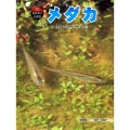 メダカ 小川や田んぼにすむ魚 科学のアルバム・かがやくいのち 10