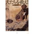 犬たちを救え! アフガニスタン救出物語