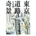 東京道路奇景