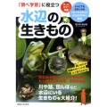 「調べ学習」に役立つ水辺の生きもの オールカラー図鑑