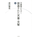 万葉集があばく捏造された天皇・天智 上