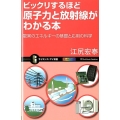 ビックリするほど原子力と放射線がわかる本 驚異のエネルギーの基礎と応用の科学 オールカラー サイエンス・アイ新書 241