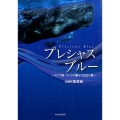 プレシャスブルー カリブ海クジラの親子と出会う旅