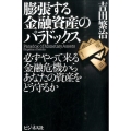 膨張する金融資産のパラドックス 必ずやって来る金融危機からあなたの資産をどう守るか