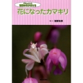 花になったカマキリ ドキュメント地球のなかまたち