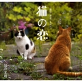 猫の恋 +猫句