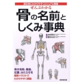 ぜんぶわかる骨の名前としくみ事典 部位別にわかりやすくビジュアル解説