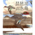 琵琶湖の水鳥