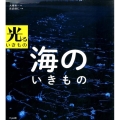 海のいきもの 光るいきもの