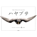 ハヤブサ THE WING OF FALCON