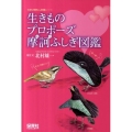 生きものプロポーズ摩訶ふしぎ図鑑 「生きもの摩訶ふしぎ図鑑」シリーズ