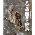 八ヶ岳四季の野鳥 吉野俊幸写真集 BIRDERスペシャル