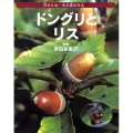 ドングリとリス 花のたね・木の実のちえ 4