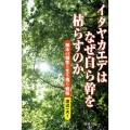 イタヤカエデはなぜ自ら幹を枯らすのか 樹木の個性と生き残り戦略