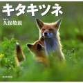 キタキツネ 北国の野生動物