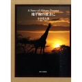 地平線の彼方に A Story of African Dreams