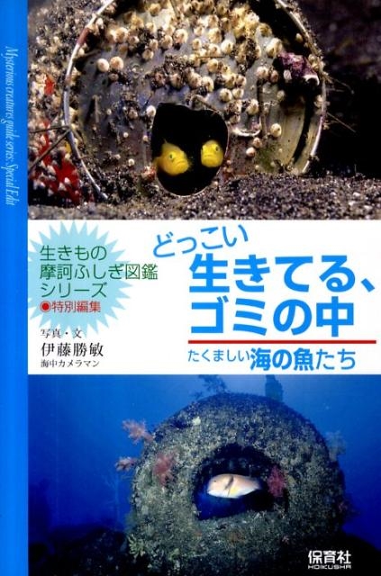 伊藤勝敏/どっこい生きてる、ゴミの中 たくましい海の魚たち 「生きもの摩訶ふしぎ図鑑」シリーズ