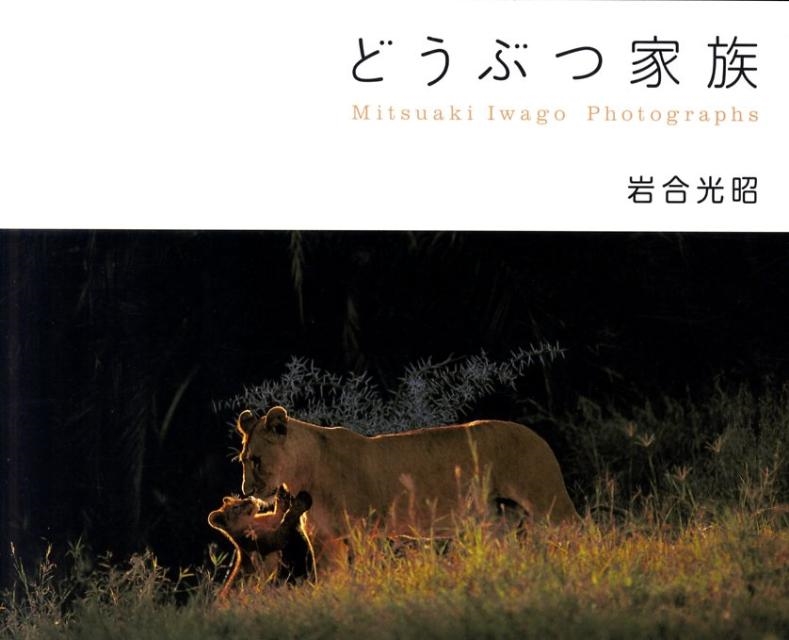 岩合光昭/どうぶつ家族 Mitsuaki Iwago Photographs