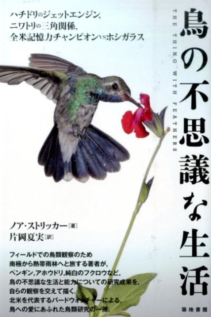 ノア・ストリッカー/鳥の不思議な生活 ハチドリのジェットエンジン、ニワトリの三角関係、全米記憶力チャンピオンvsホシガ[9784806715085]