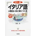 カラー版 CD付 イタリア語が面白いほど身につく本
