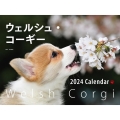 2024年カレンダー ワイド判 ウェルシュ・コーギー 誠文堂新光社カレンダー