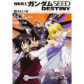 機動戦士ガンダムSEED DESTINY(2) さまよう眸