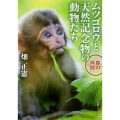 ムツゴロウと天然記念物の動物たち 森の仲間