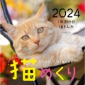 Cats Calendar 猫めくり2024 1年366日、猫まみれ