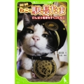 ねこの駅長たま びんぼう電車をすくったねこ