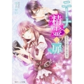 ニーナと精霊の扉 黒衣の公務員と碧の秘密 角川ビーンズ文庫 100-1
