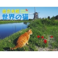 岩合光昭世界の猫カレンダー 2024