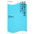 中国最大の弱点、それは水だ! 角川SSC新書 水ビジネスに賭ける日本の戦略