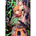 カイダンにっき 3 電撃コミックスNEXT 116-3