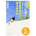 招き猫カワヒラくんが教えてくれた幸運の流れに乗る生き方 「空」にいざなうリラックス瞑想CD付