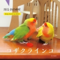 2024年カレンダー コザクラインコ 誠文堂新光社カレンダー