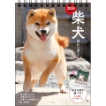 【S3】 2024 柴犬カレンダー 卓上書き込み式 [B6タ 永岡書店のカレンダー