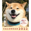 2022年 柴犬まる週めくり卓上カレンダー