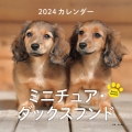 2024年カレンダー ミニチュア・ダックスフンド 誠文堂新光社カレンダー