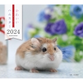 2024年カレンダー かわいいハムスター 誠文堂新光社カレンダー