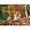 【S12】 いぬ便り 2024 Dog Calendar 永岡書店のカレンダー