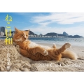 【S13】 ねこ日和 2024 Cat Calendar 永岡書店のカレンダー